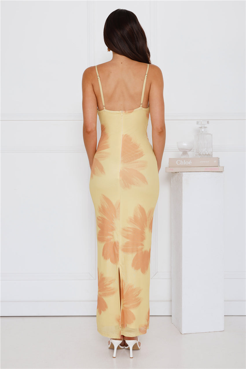 Amber Splendour Mesh Maxi Dress Yellow